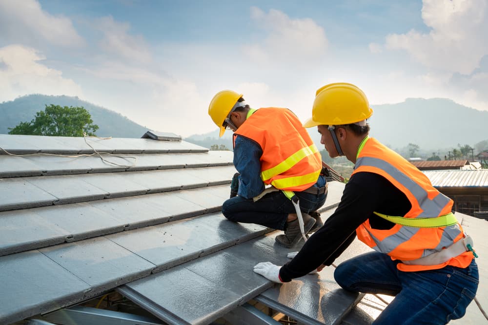 roof repair in Springview NE